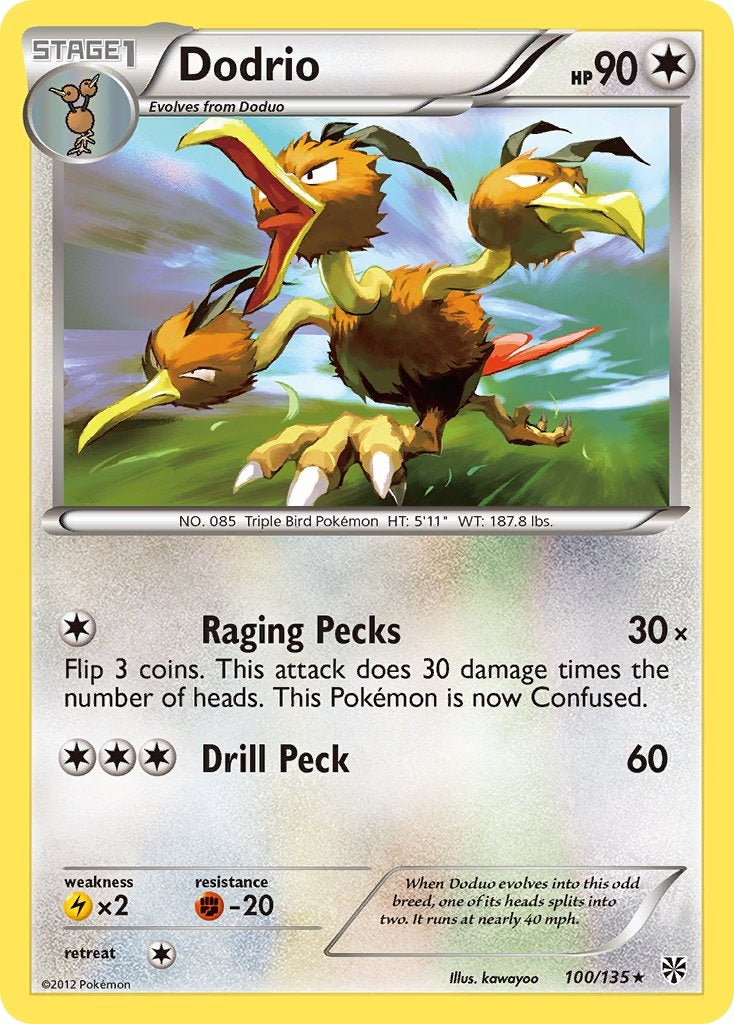 Dodrio 100/135