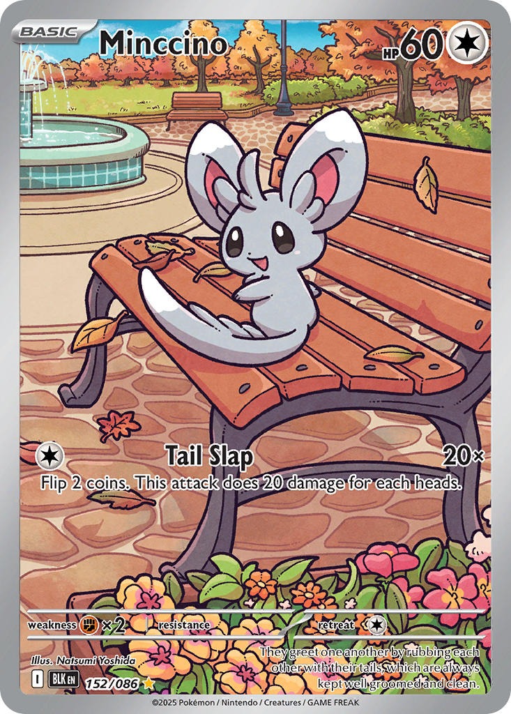 Minccino 152/086