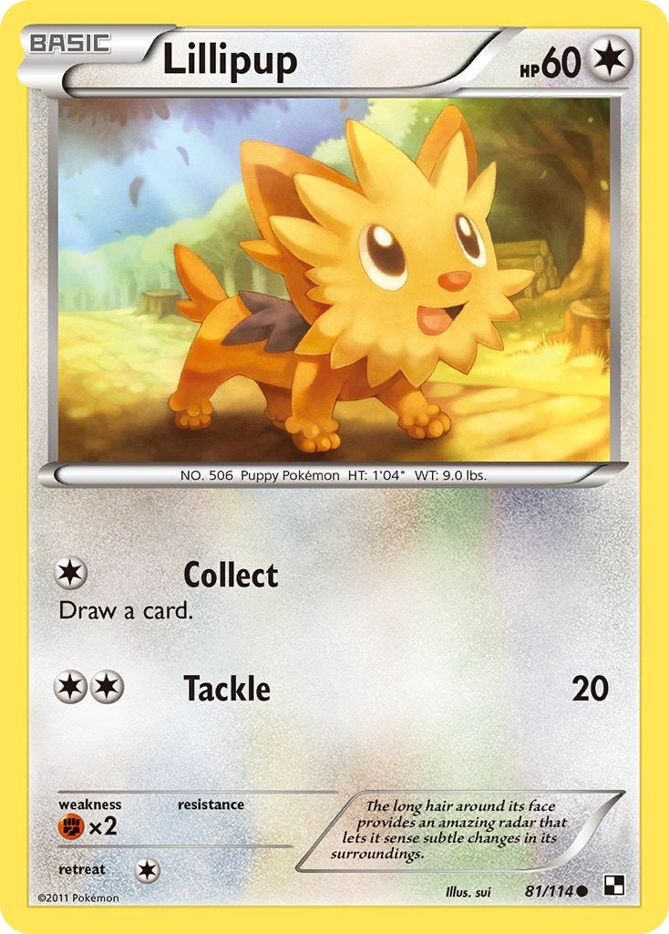 Lillipup 81/114