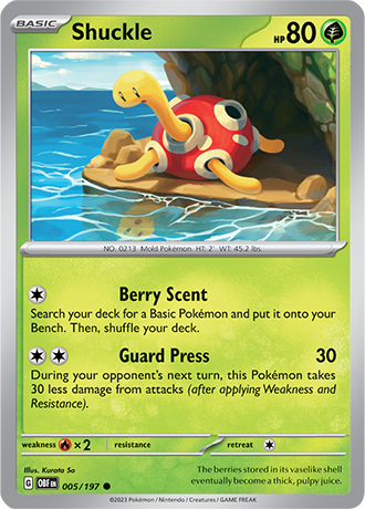 Shuckle 005/197