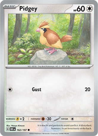 Pidgey 162/197