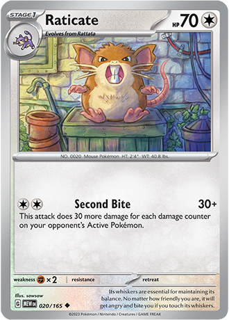 Raticate 020/165