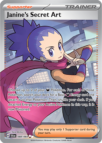 Janine's Secret Art 088/064