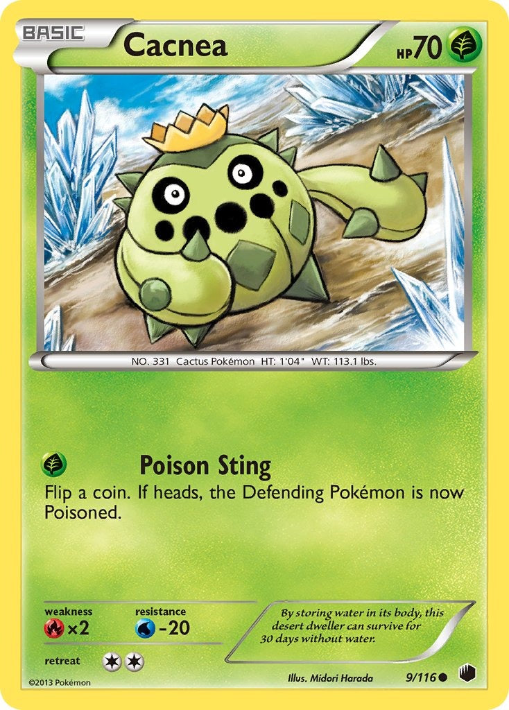 Cacnea 9/116