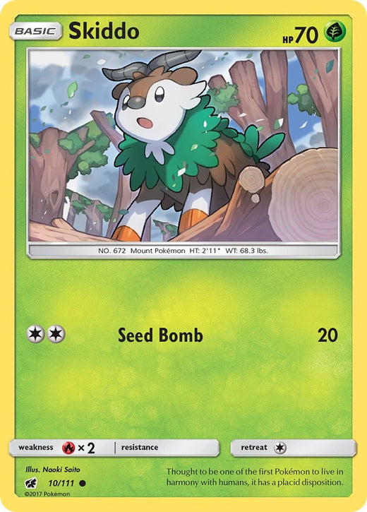 Skiddo 010/111