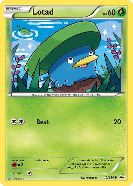 Lotad 10/160