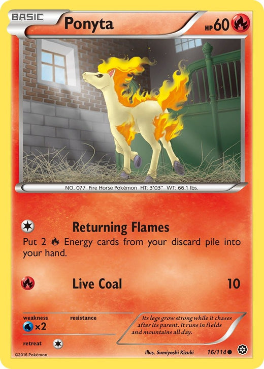 Ponyta 16/114
