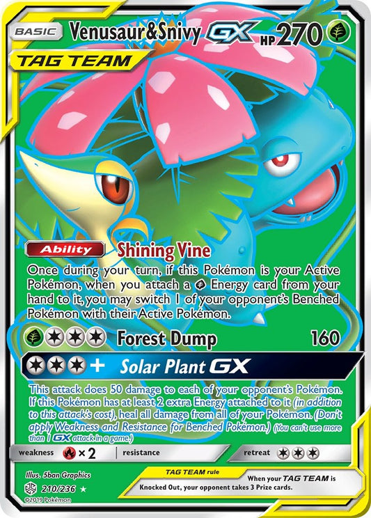 Venusaur & Snivy GX 210/236