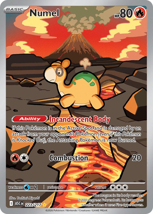 Numel 223/217