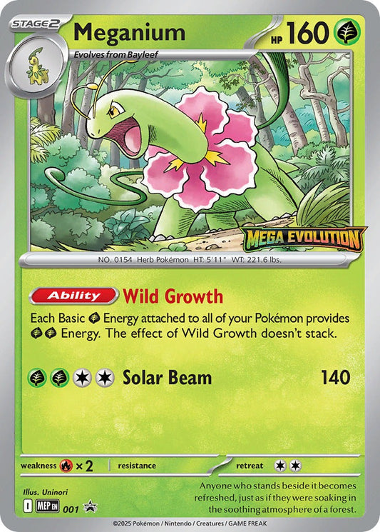 Meganium 001