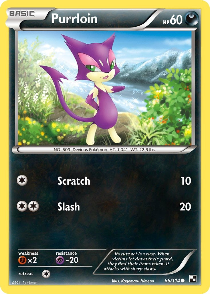 Purrloin 66/114