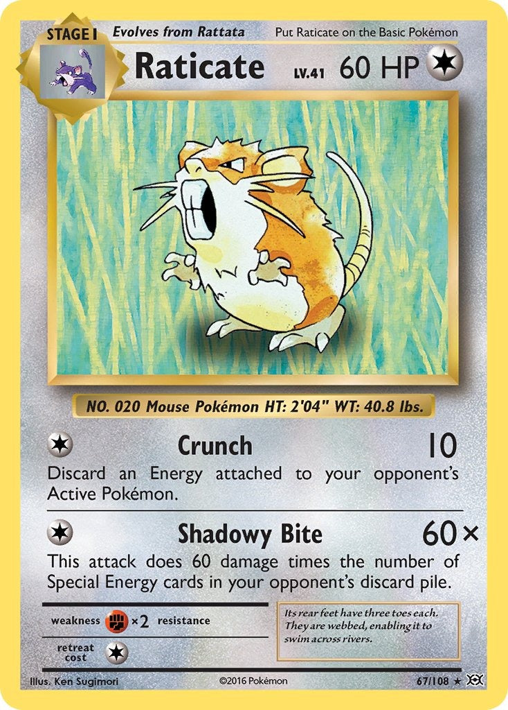 Raticate 67/108