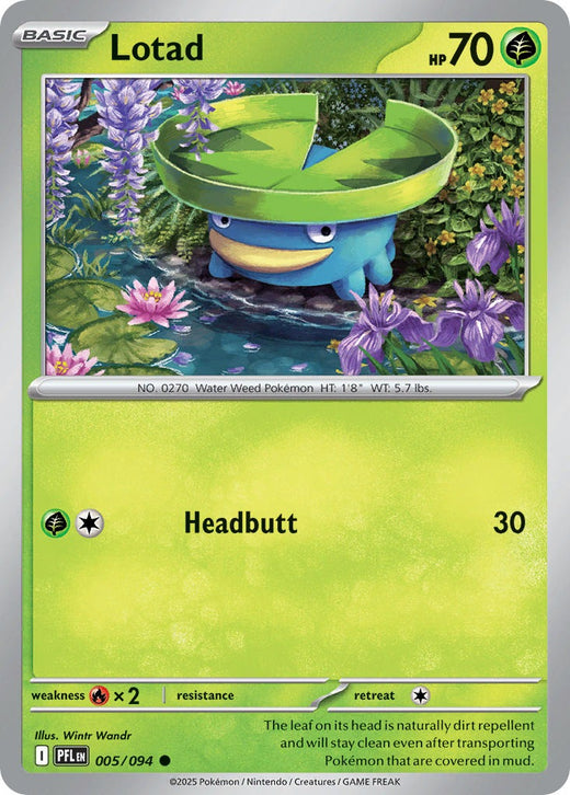 Lotad 005/094