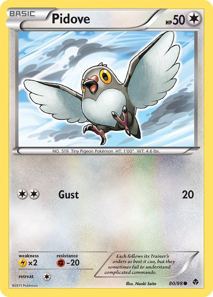 Pidove 80/98