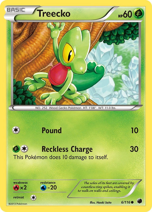 Treecko 6/116